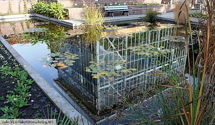 Das Tropenhaus im Botanischen Garten gespiegelt im Seerosenteich