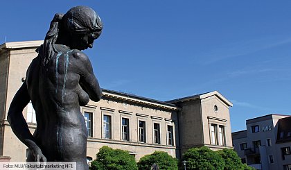 Zoological Collection at Domplatz 4